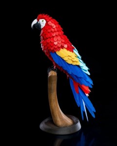 Macaw Feather 3 400x300